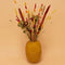 Dried flowers