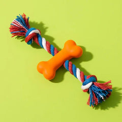 Collection image for: Dog accessories