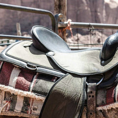 Collection image for: Saddles