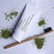 Dental Care