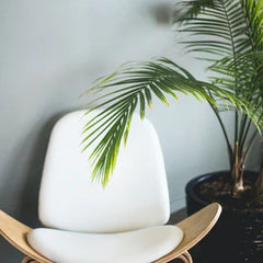Collection image for: Armchairs
