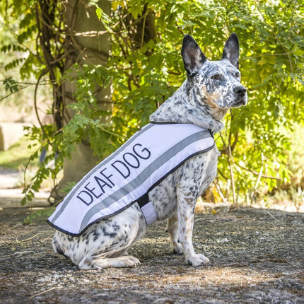 Deaf Dog White Warm Dog Coats S M M L L XL Waterproof Reflective Fleece Lined Prevents Accidents by Warning Others of Your Dog in Advance (M-L Back 17" (43Cm)