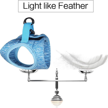 Cat Harness and Leash Set for Walking, Escape Proof Vest Harnesses for Cats, Ultra Light Breathable Soft Jacket (Blue, L (Chest: 13 - 15"))