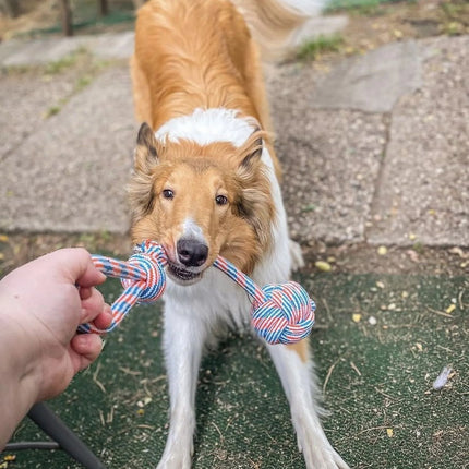 Dog Toy Pack of 4 Large Dog Toys for Aggressive Chewers - Dog Ropes & Ball