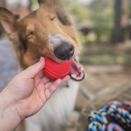 Dog Toy Pack of 4 Large Dog Toys for Aggressive Chewers - Dog Ropes & Ball